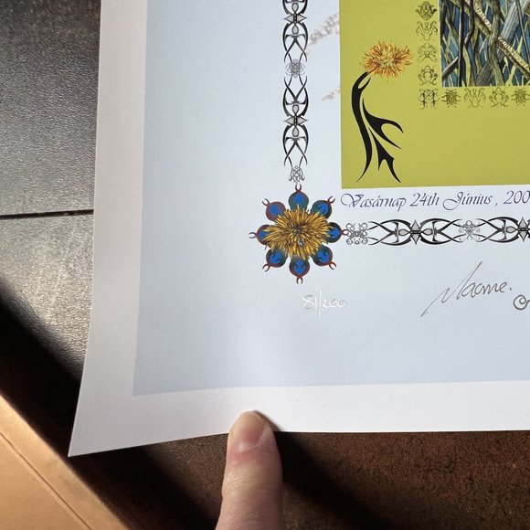 MINT Tori Amos Budapest 2007 by Macrae/Ulysses, S&N and Doodled by Macrae, 21x17 - Picture 4 of 9